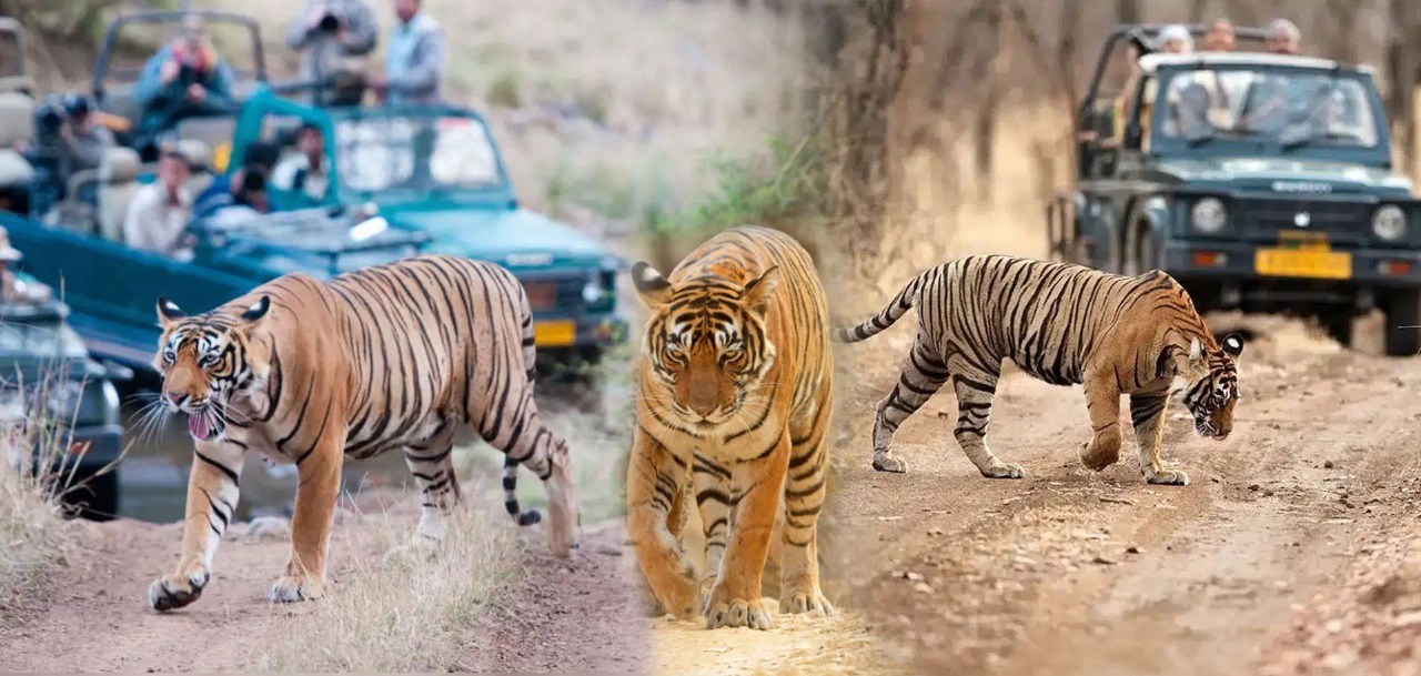 Amritsar